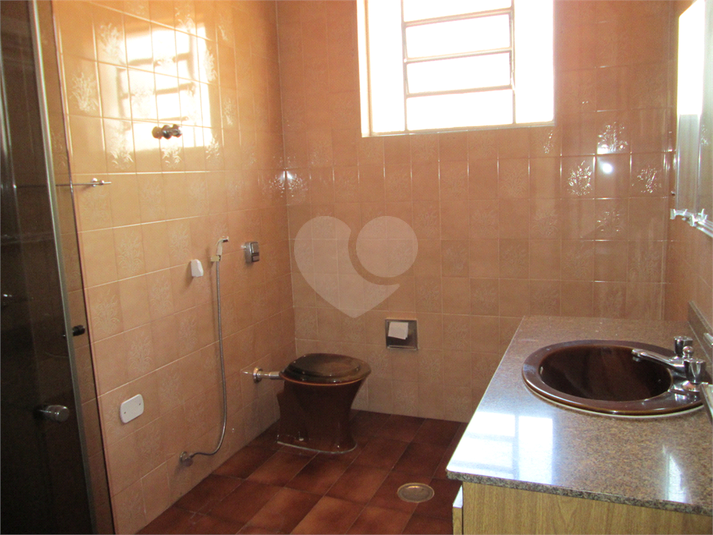 Foto REO1116672
