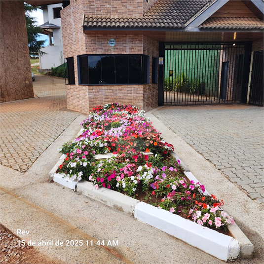 Foto REO1116674