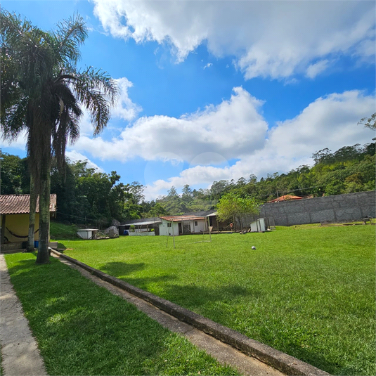 Foto REO1116675