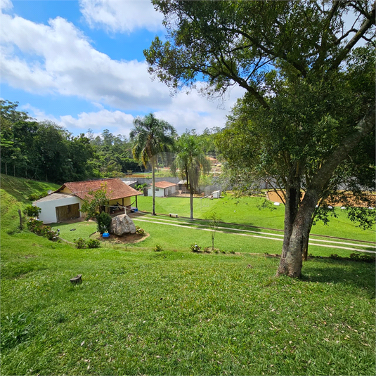 Foto REO1116675