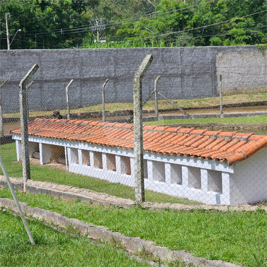 Foto REO1116675