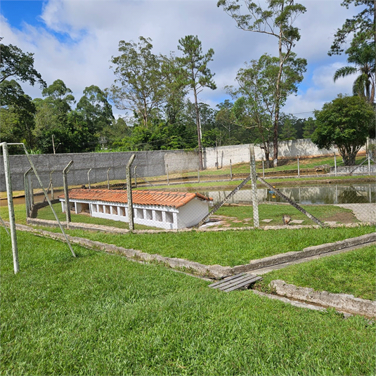Foto REO1116675
