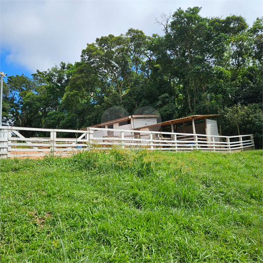 Foto REO1116675