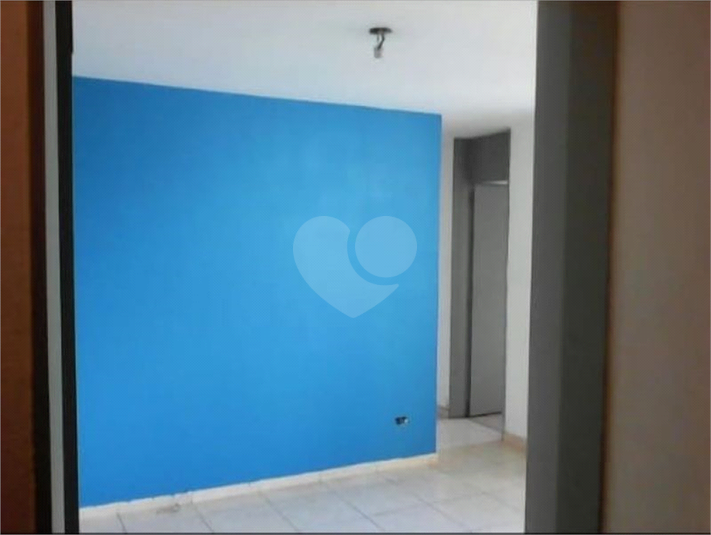 Foto REO1116686
