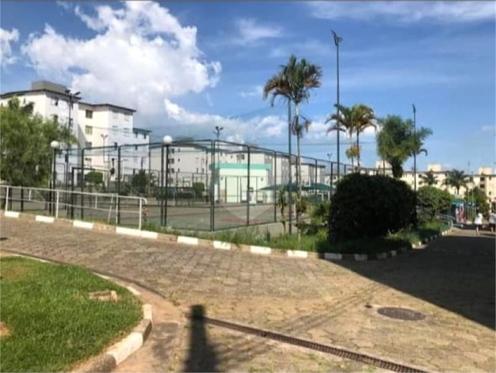 Foto REO1116686