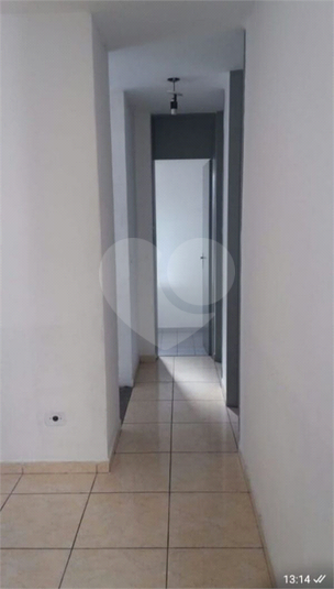 Foto REO1116686