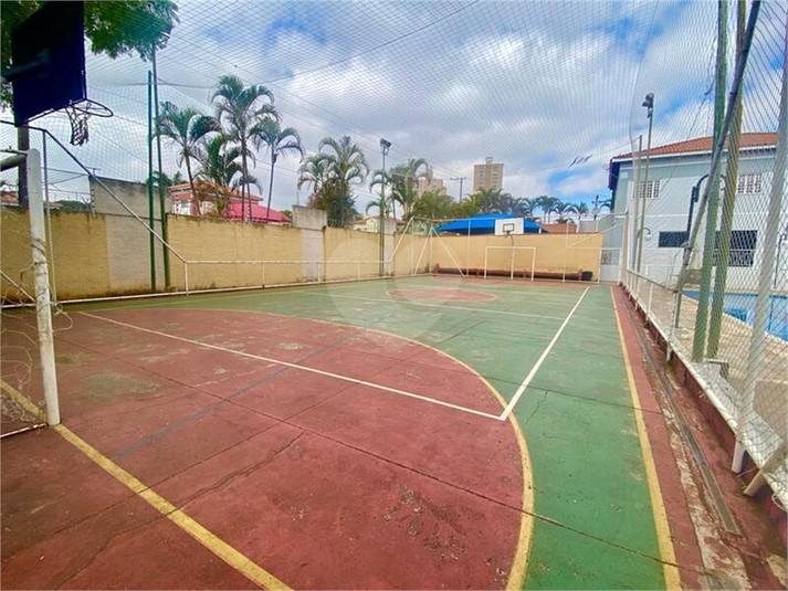 Foto REO1116690