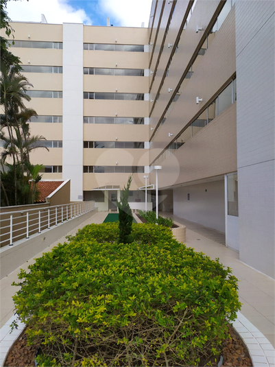 Foto REO1116700