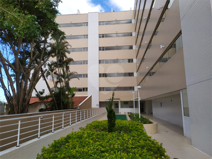 Foto REO1116700