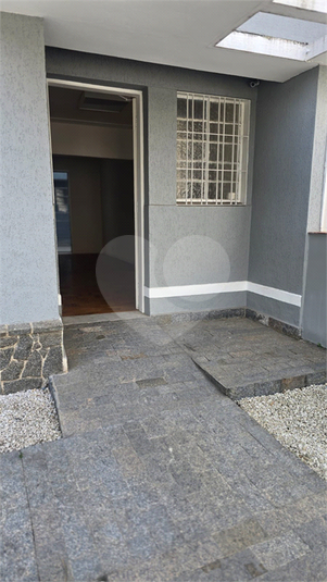 Foto REO1116704