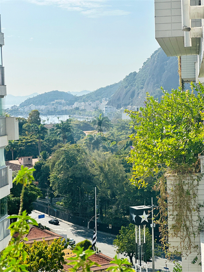 Foto REO1116710