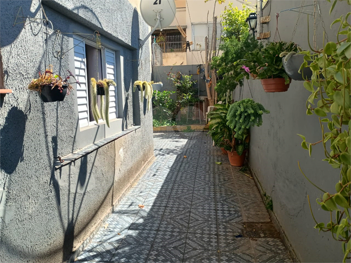 Foto REO1116715
