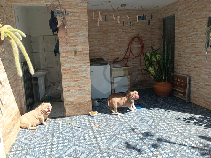 Foto REO1116715