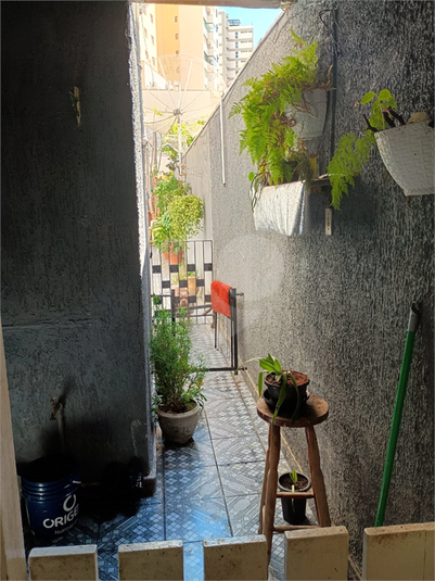 Foto REO1116715