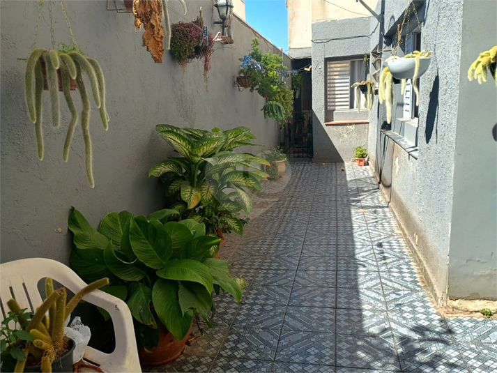 Foto REO1116715