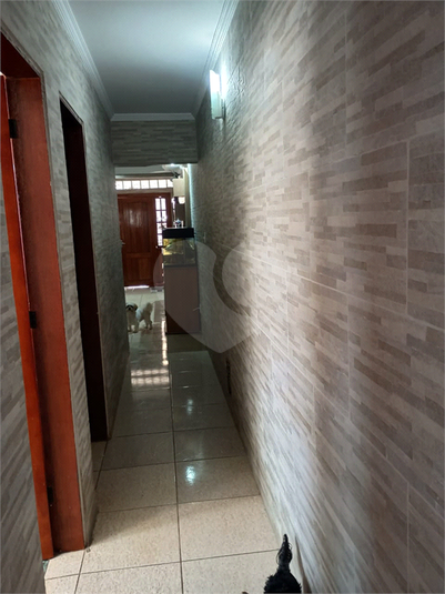 Foto REO1116715