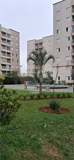 Foto REO1116719