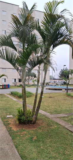 Foto REO1116719
