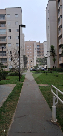 Foto REO1116719