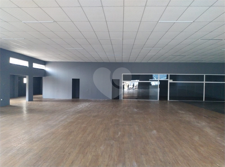 Foto REO1116725