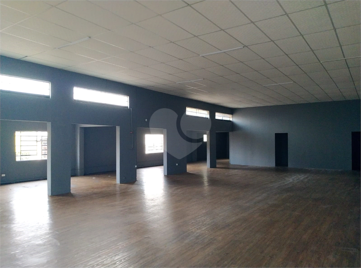 Foto REO1116725