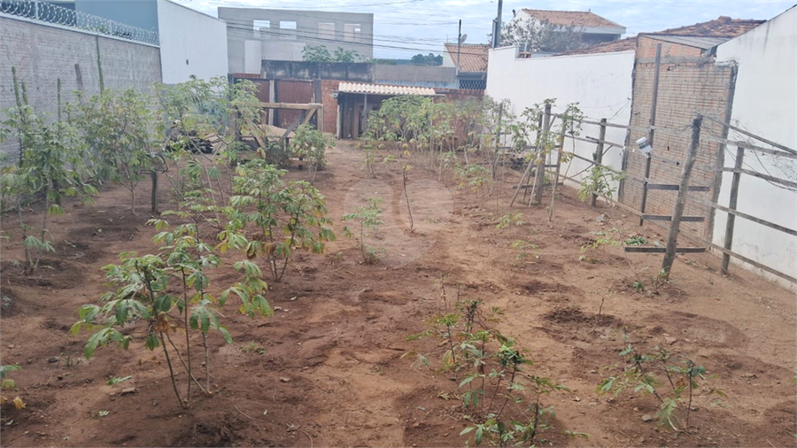 Foto REO1116734