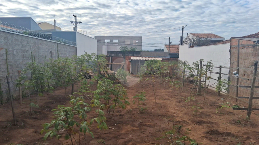 Foto REO1116734