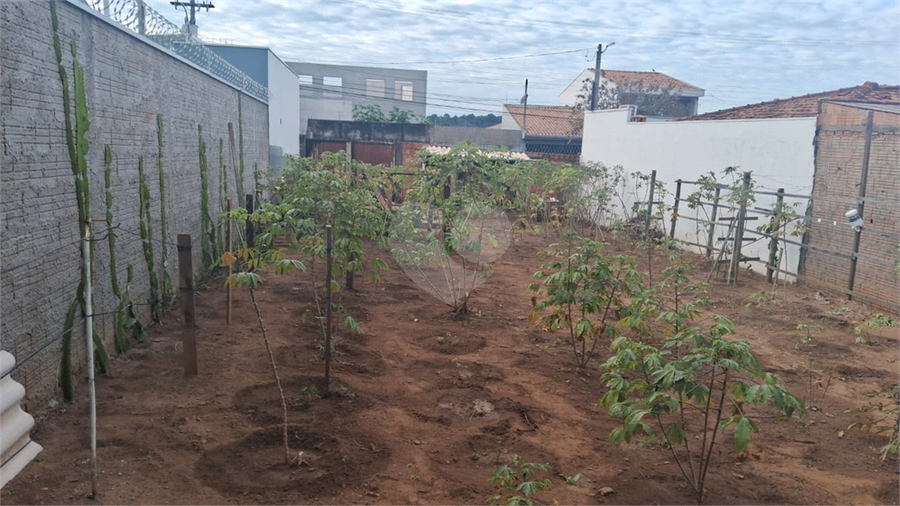 Foto REO1116734