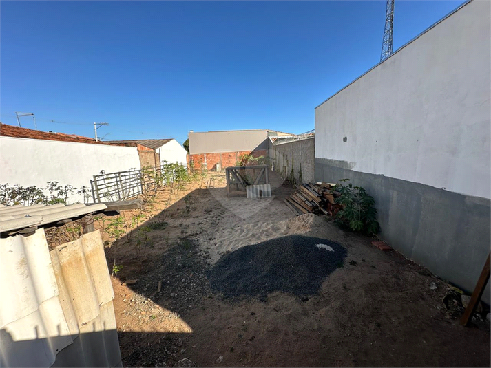 Foto REO1116734
