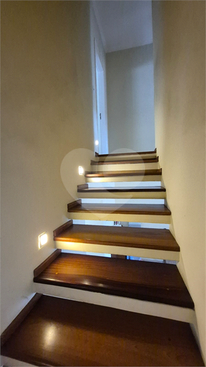 Foto REO1116743