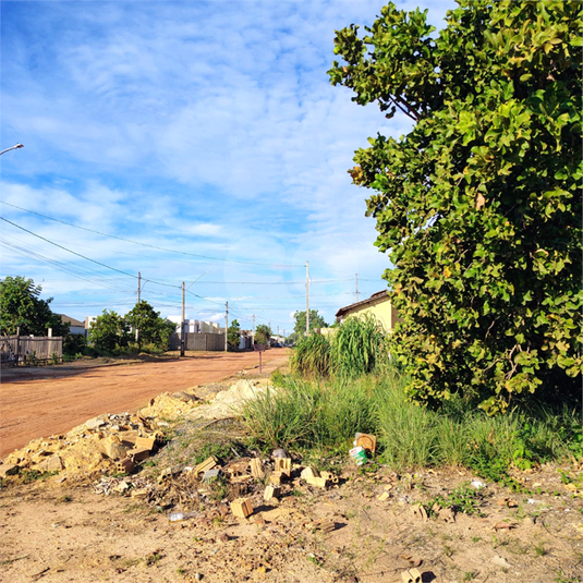 Foto REO1116756