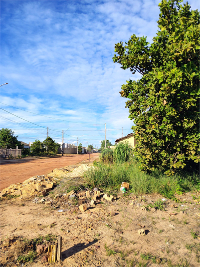Foto REO1116756