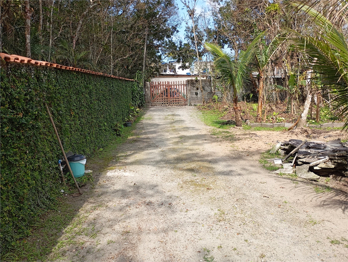 Foto REO1116758