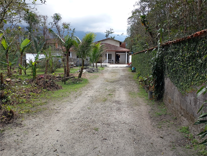 Foto REO1116758
