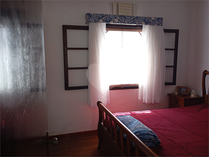 Foto REO1116758