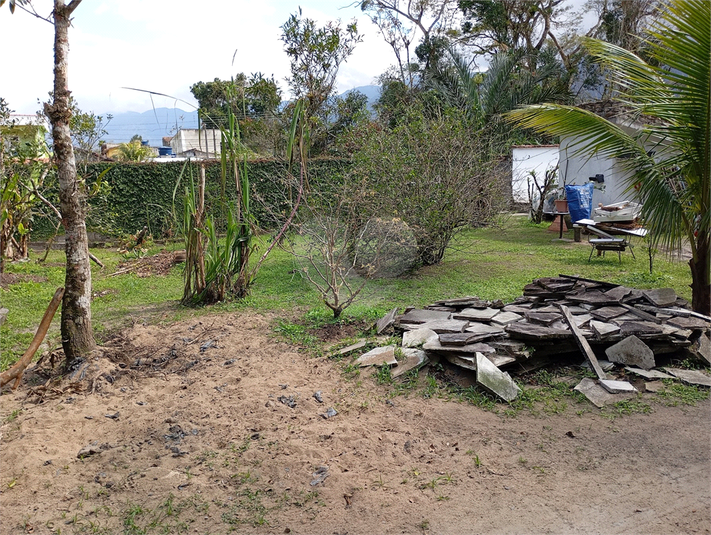 Foto REO1116758