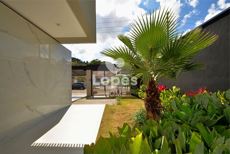 Foto REO1116762