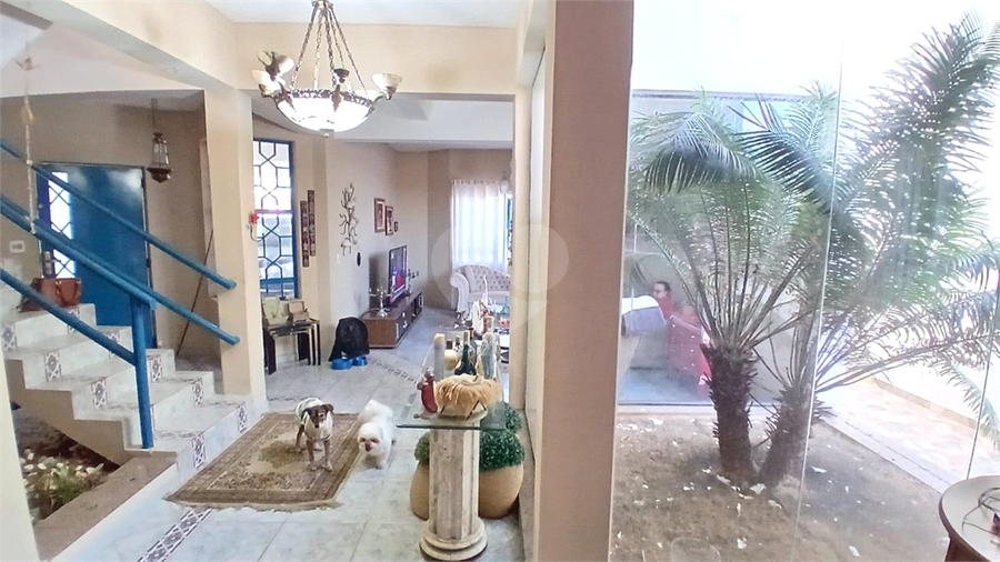 Foto REO1116764