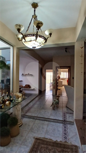 Foto REO1116764