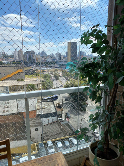Foto REO1116772