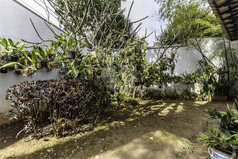 Foto REO1116775