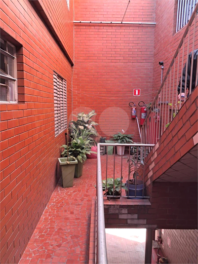 Foto REO1116776