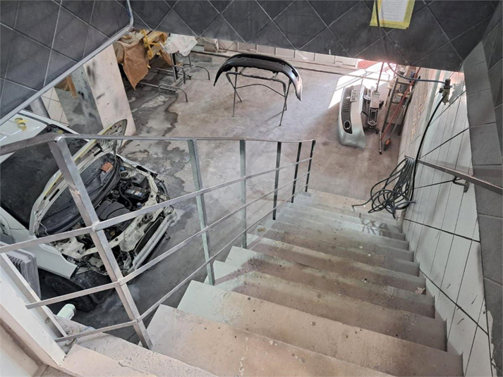 Foto REO1116776
