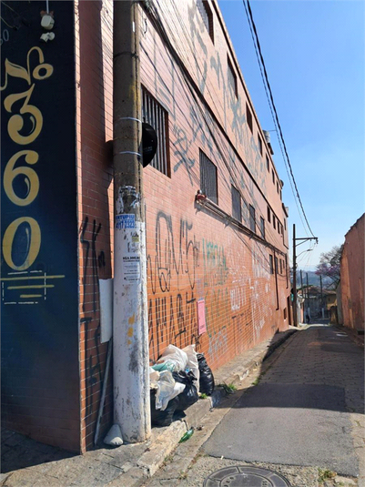 Foto REO1116776
