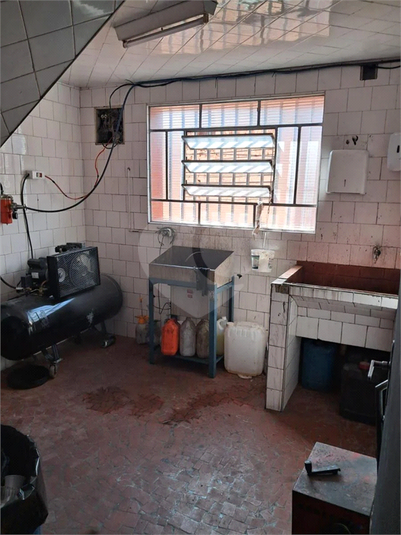 Foto REO1116776