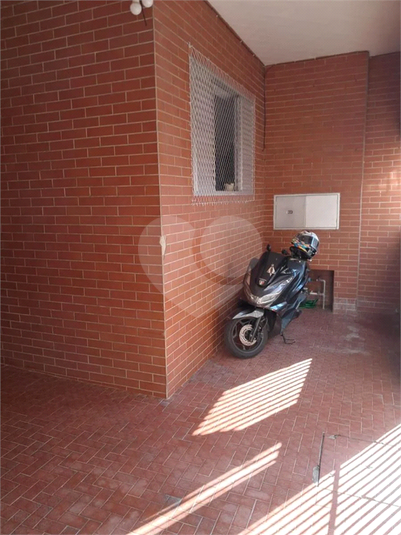 Foto REO1116776