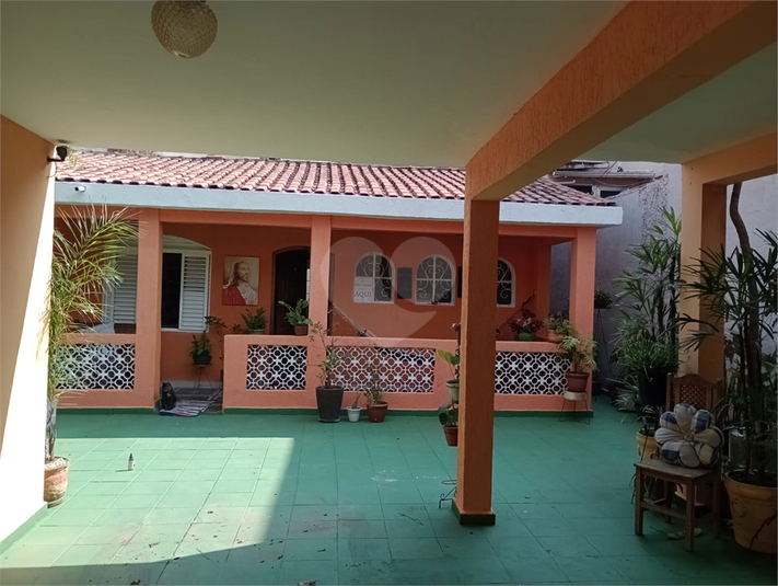 Foto REO1116778