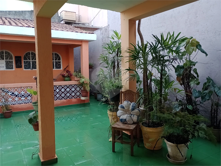 Foto REO1116778