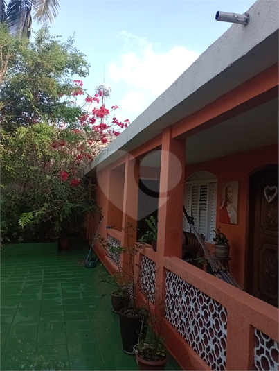 Foto REO1116778