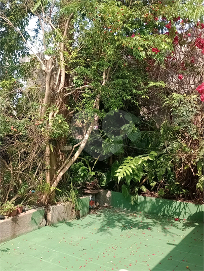 Foto REO1116778